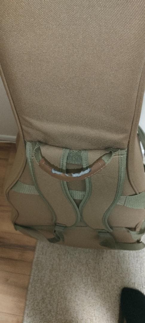 Taylor 214ce エレアコ アコースティックギター 純正ケース付き