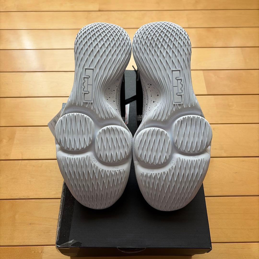 NIKE LEBRON WITNESS V EP レブロンウィットネス 5 EP