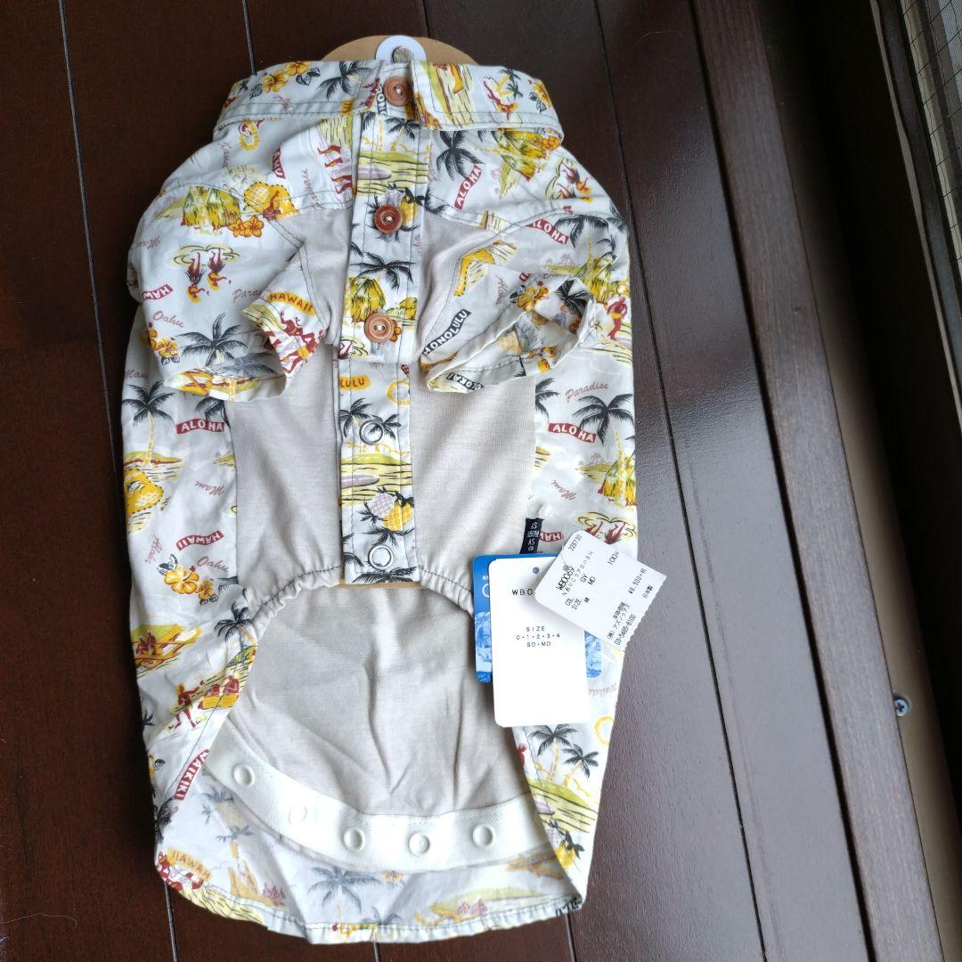 アズノゥアズデワン4点おまとめ