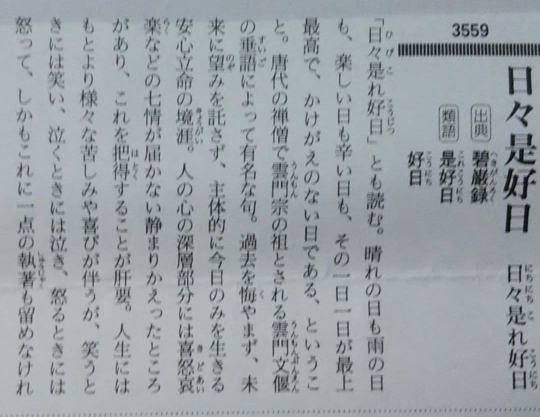 茶道具 裏千家 淡々斎 短冊 軸 日々是好日 桐箱