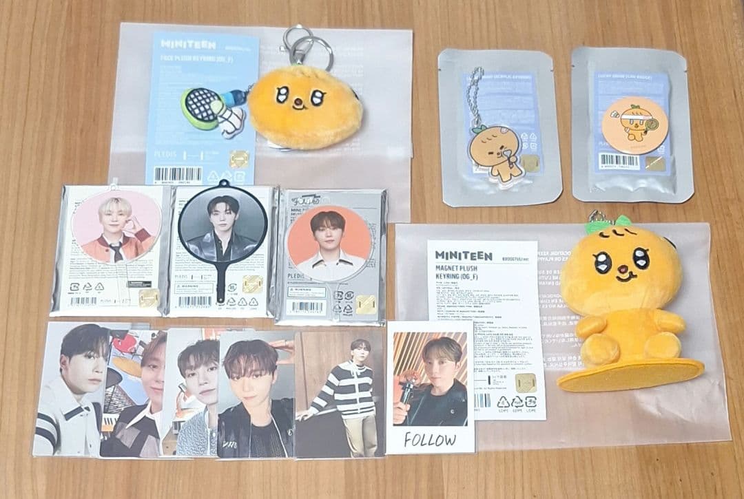 SEVENTEEN MINITEEN プギュリ KEYRING スングァン