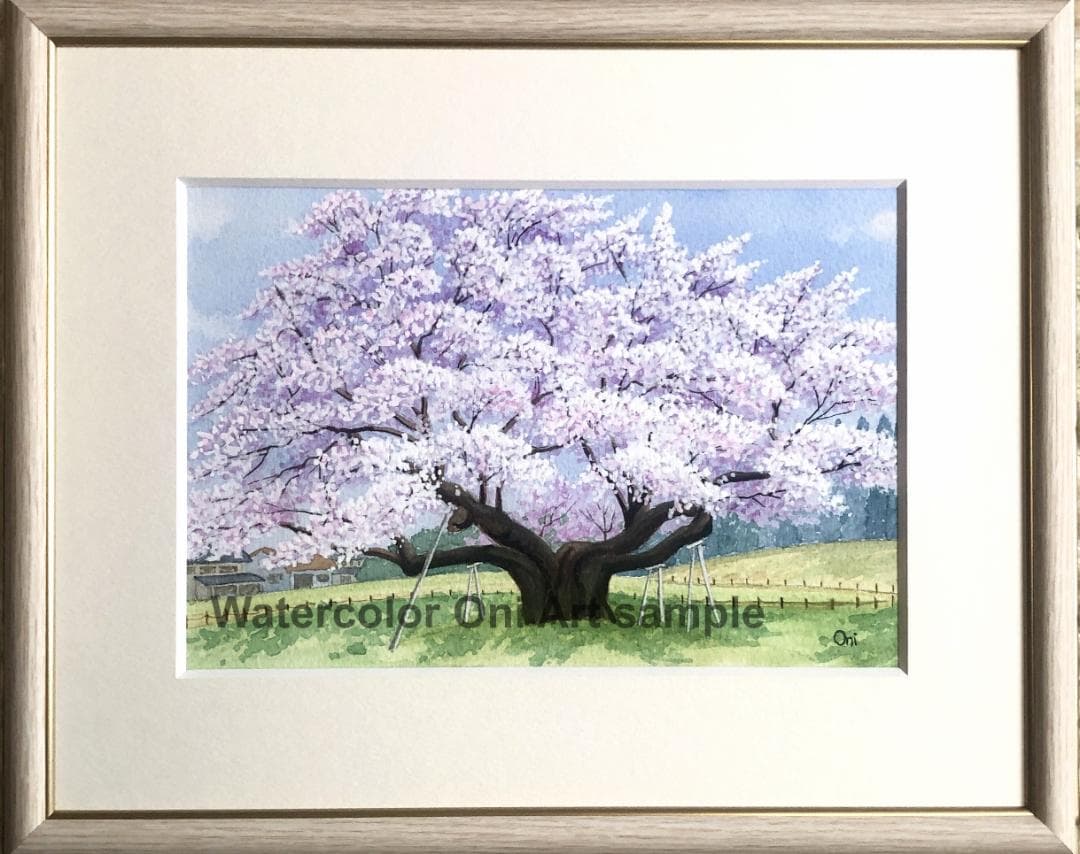 透明水彩画　原画　「根尾谷淡墨桜」額縁付　SMサイズ　風景画