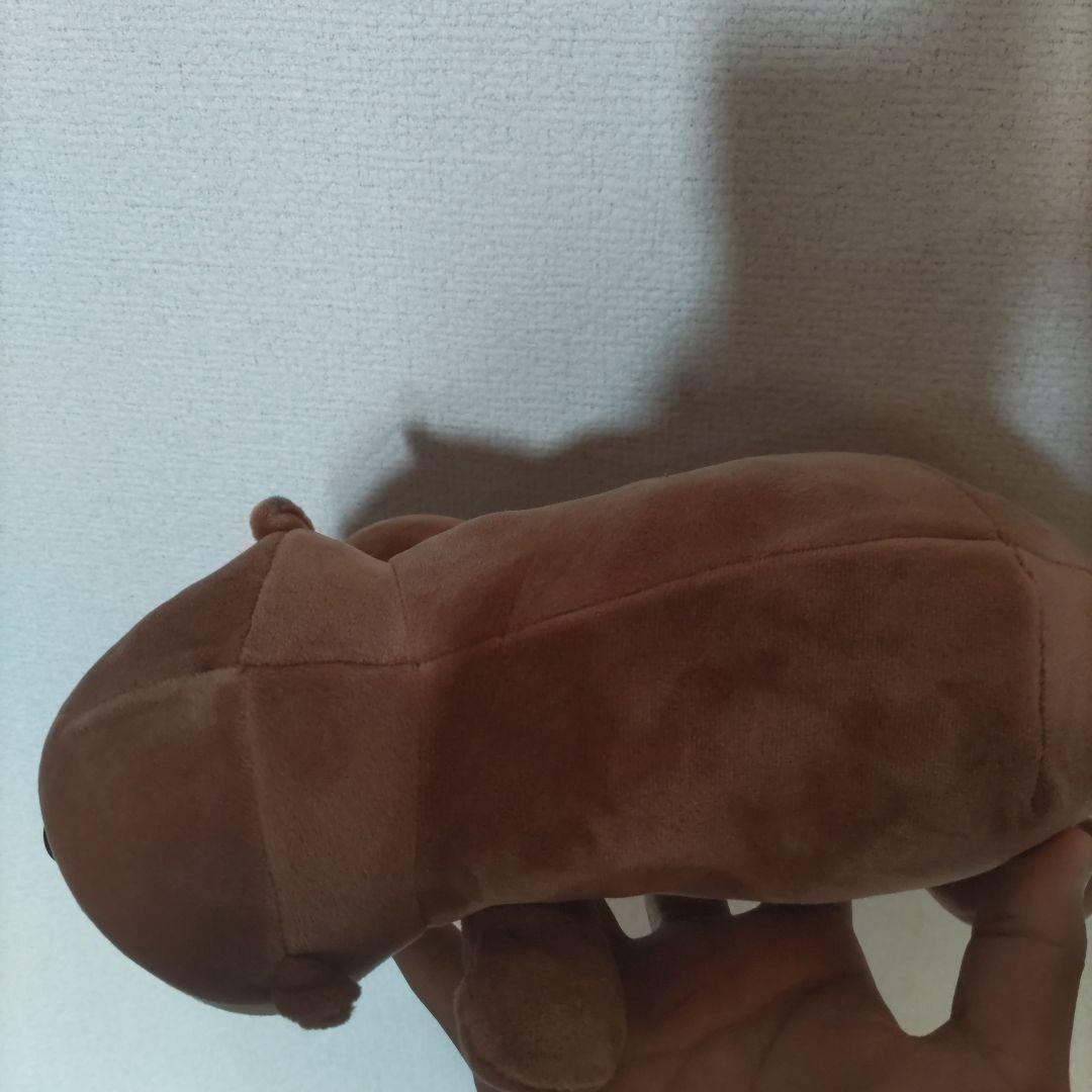 カワウソのぬいぐるみ