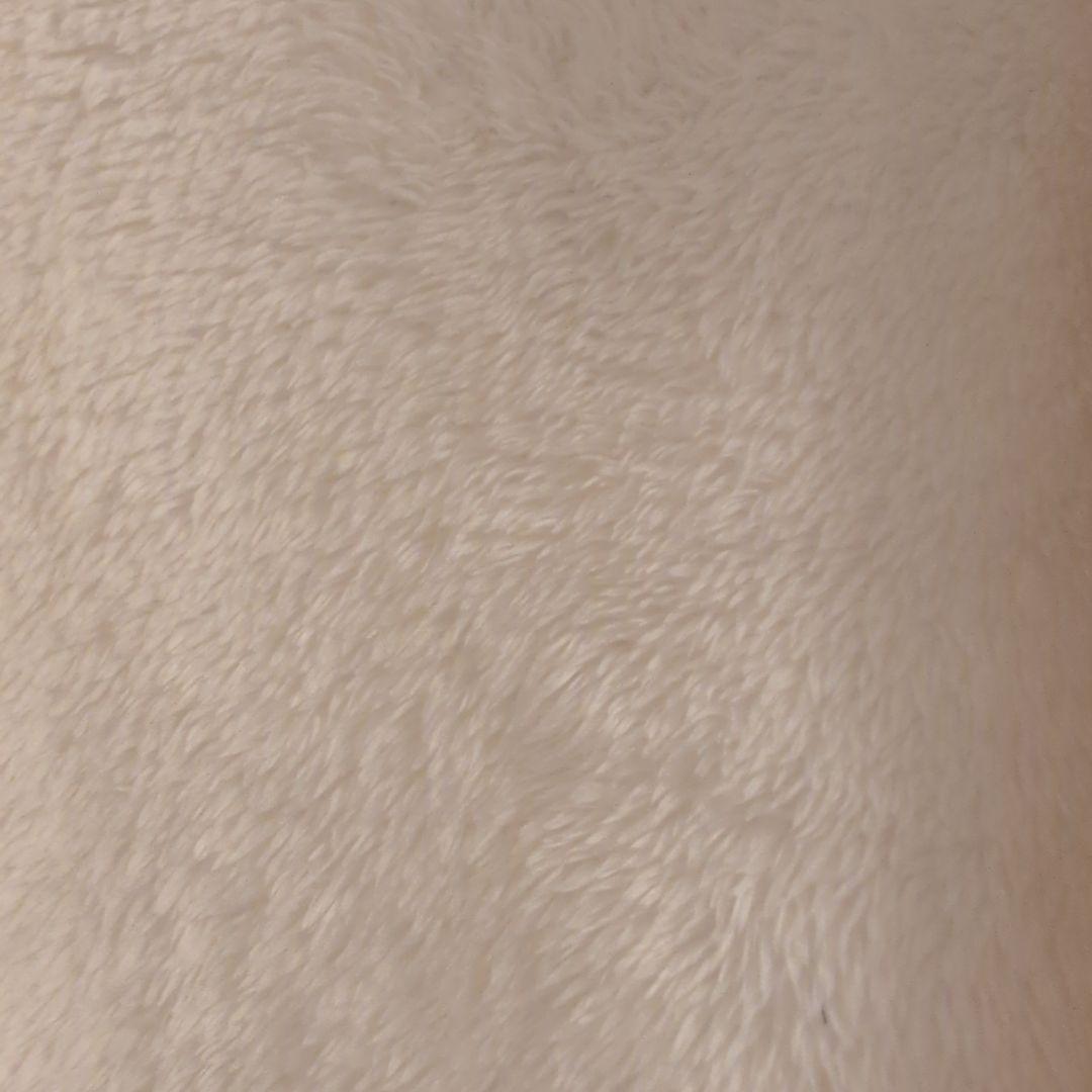 Callaway冬2点セット フード付きジャケット