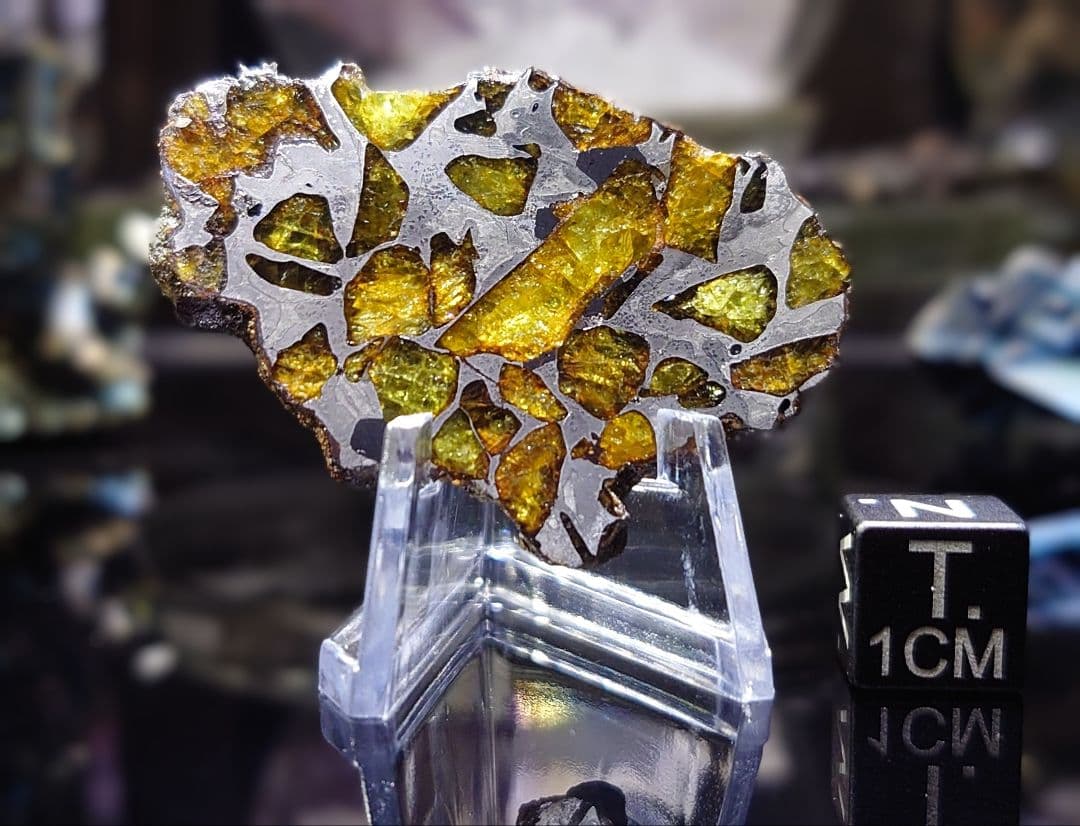 ⭐️11.3g イミラック パラサイト 隕石 Imilac