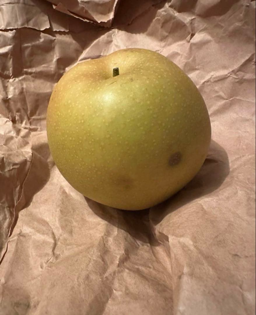 新甘泉　二十世紀　10㎏セット