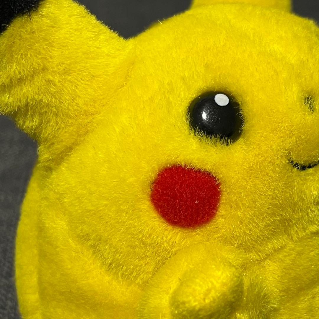 ピカチュウ ぬいぐるみ と リュック