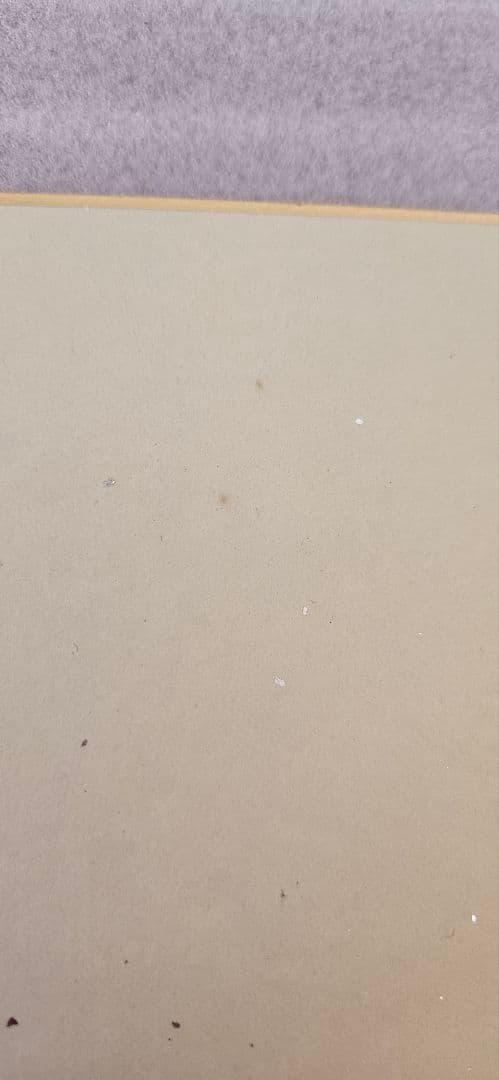 ORIXBlueWave イチロー選手の直筆サイン入り色紙