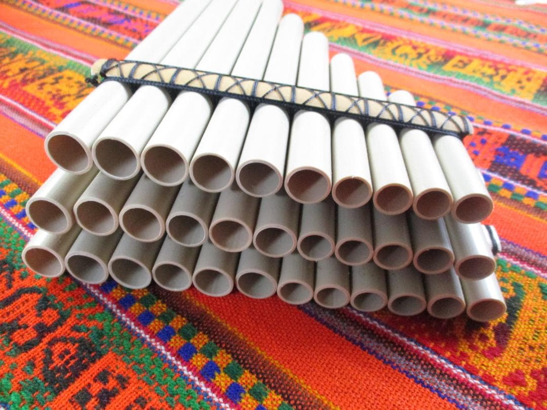 サンポーニャマルタクロマチカ、プラスチックAWAYOケース付き