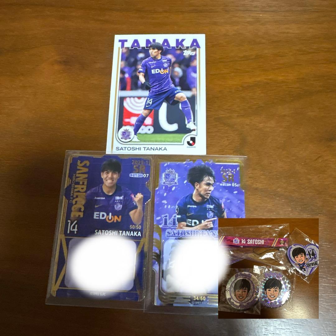 田中聡　サンフレッチェ広島　湘南ベルマーレ