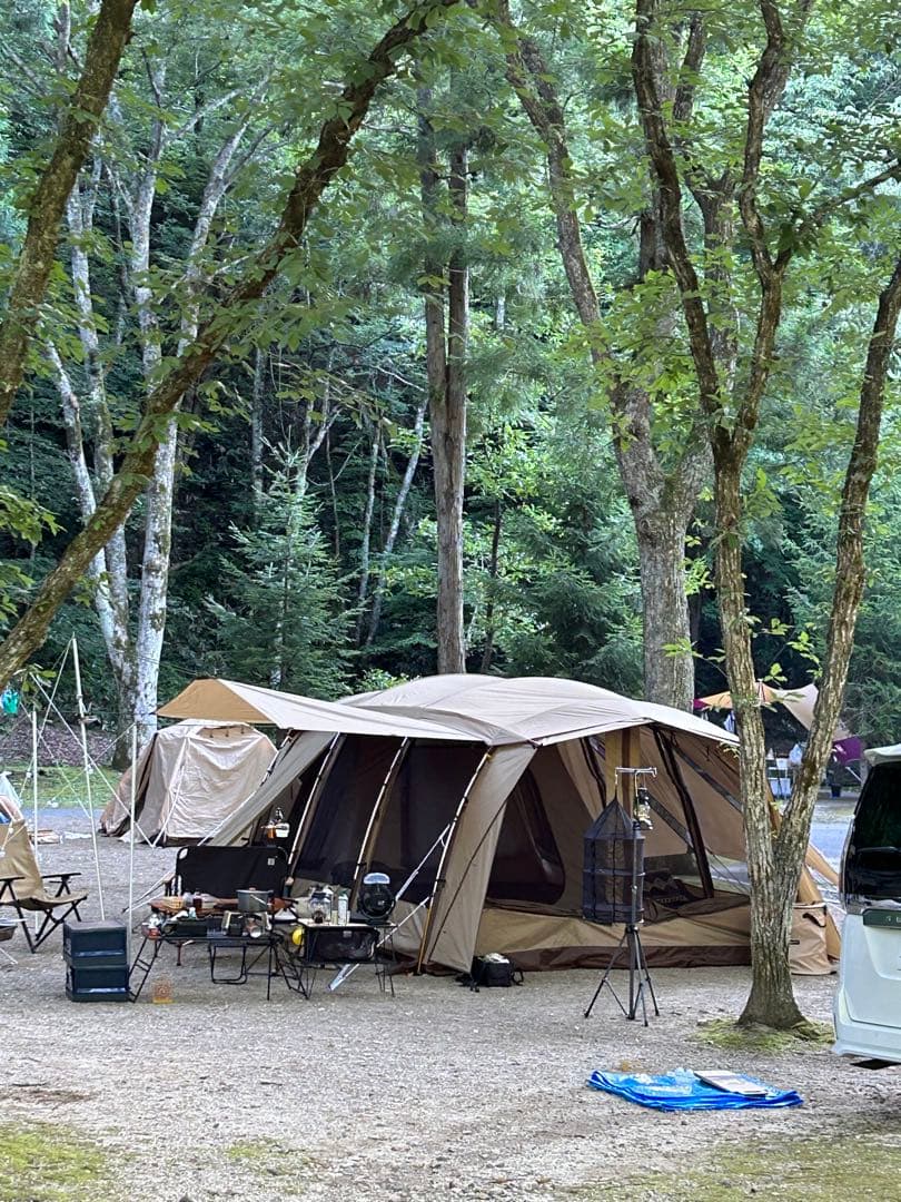 あらた　美品　オガワ　アポロン