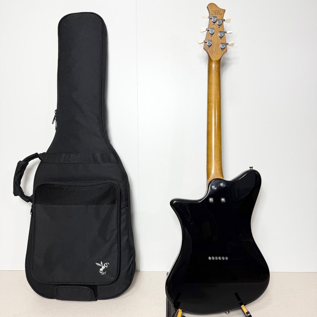 美品 RYOGA SKATER LE エレキギター ソフトケース 付属品付