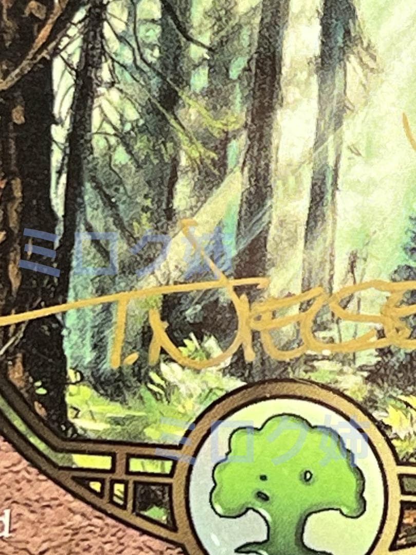 【直筆サイン入り】 Unglued 森/Forest　レア品