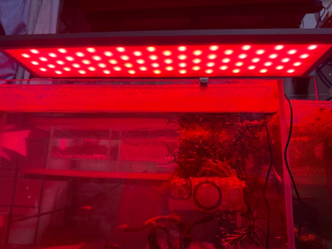 ADA アクアスカイ RGB II 60 水槽用照明