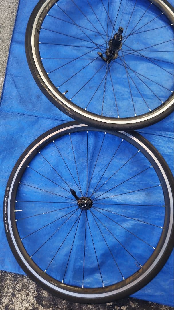 美品COLNAGO完組ホイール 11S互換 2本セット