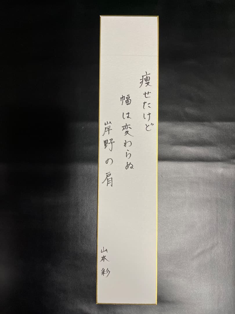 NMB48メンバー直筆サイン入り短冊（山本彩、渋谷凪咲、須藤凜々花など25名）