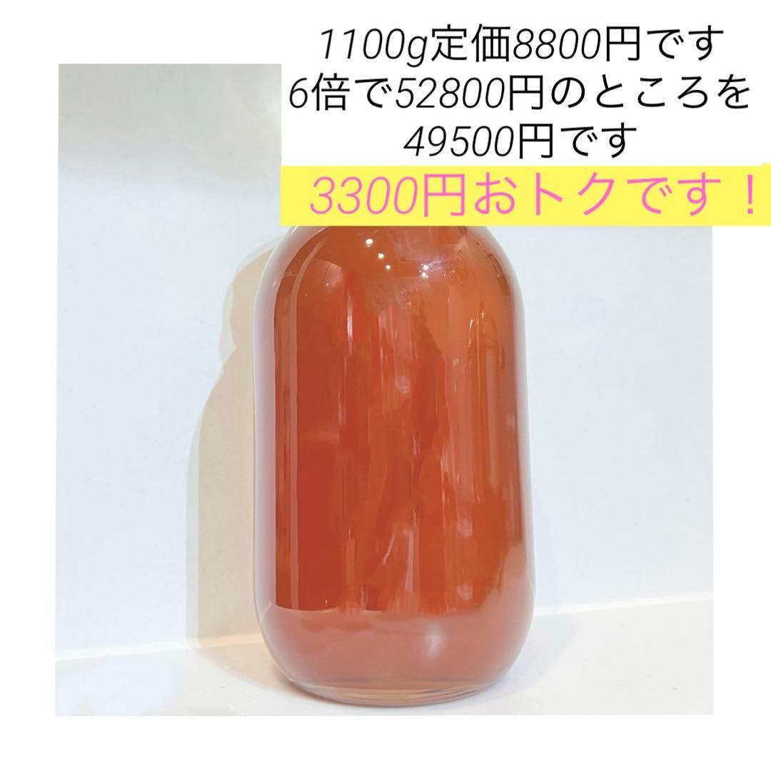 高知県産　日本蜜蜂　ニホンミツバチ　生はちみつ　百花蜜　非加熱はちみつ　無添加