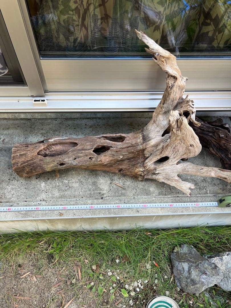 超大型流木　水槽用　アクアリウム③