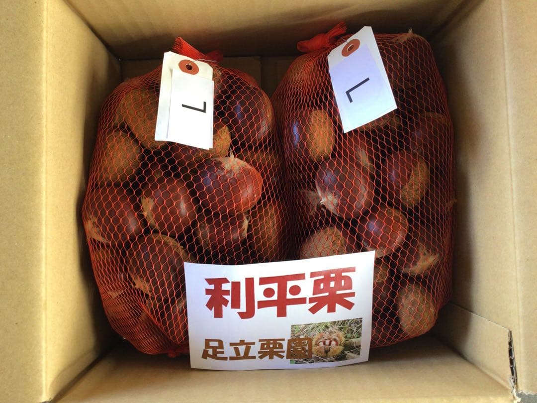 よっしー　利平栗 氷温熟成 Lサイズ 5kg