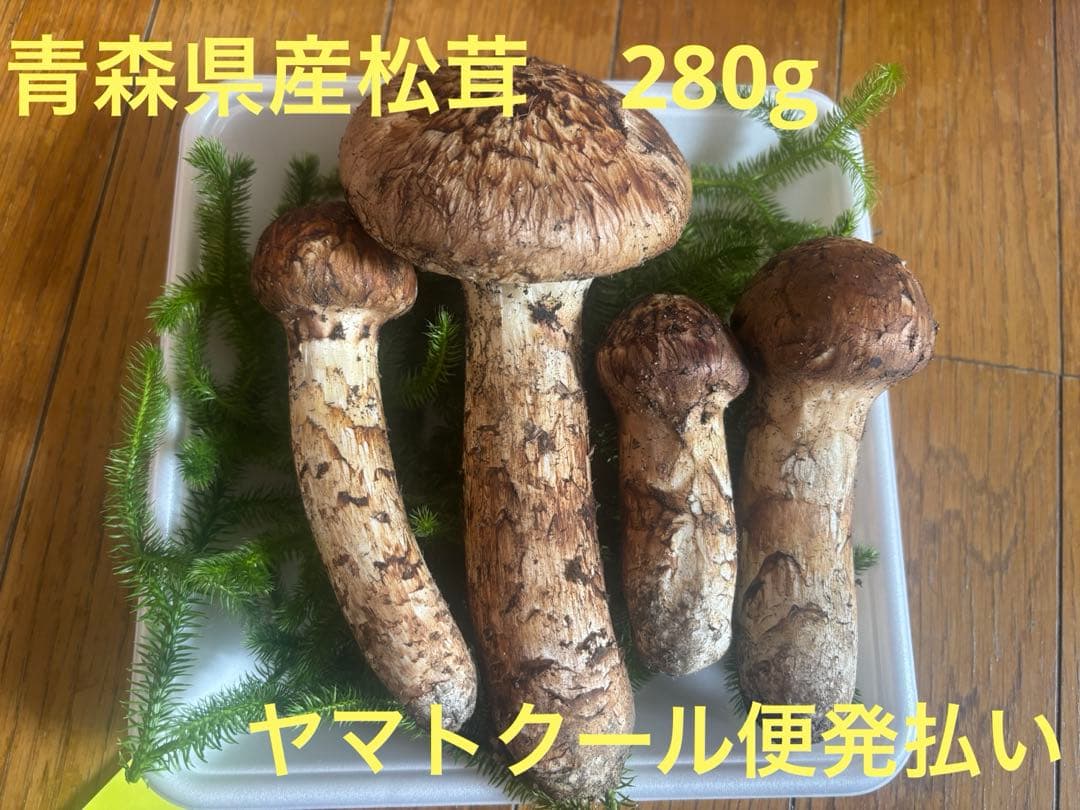 青森県産　松茸　マツタケ　280g
