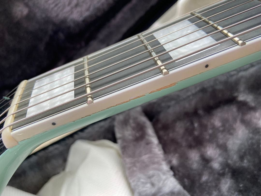 Seventyseven Exrubato Zebra Finch セミアコ