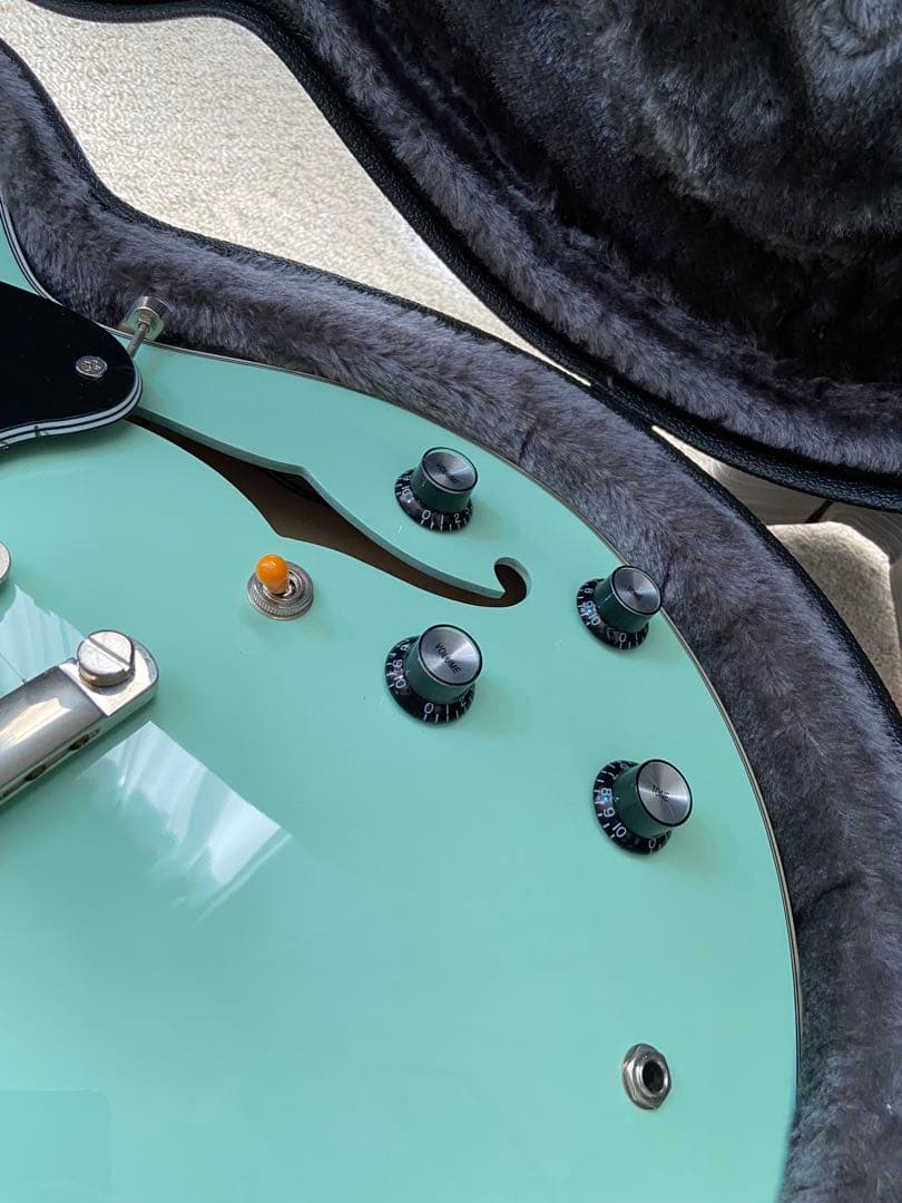 Seventyseven Exrubato Zebra Finch セミアコ