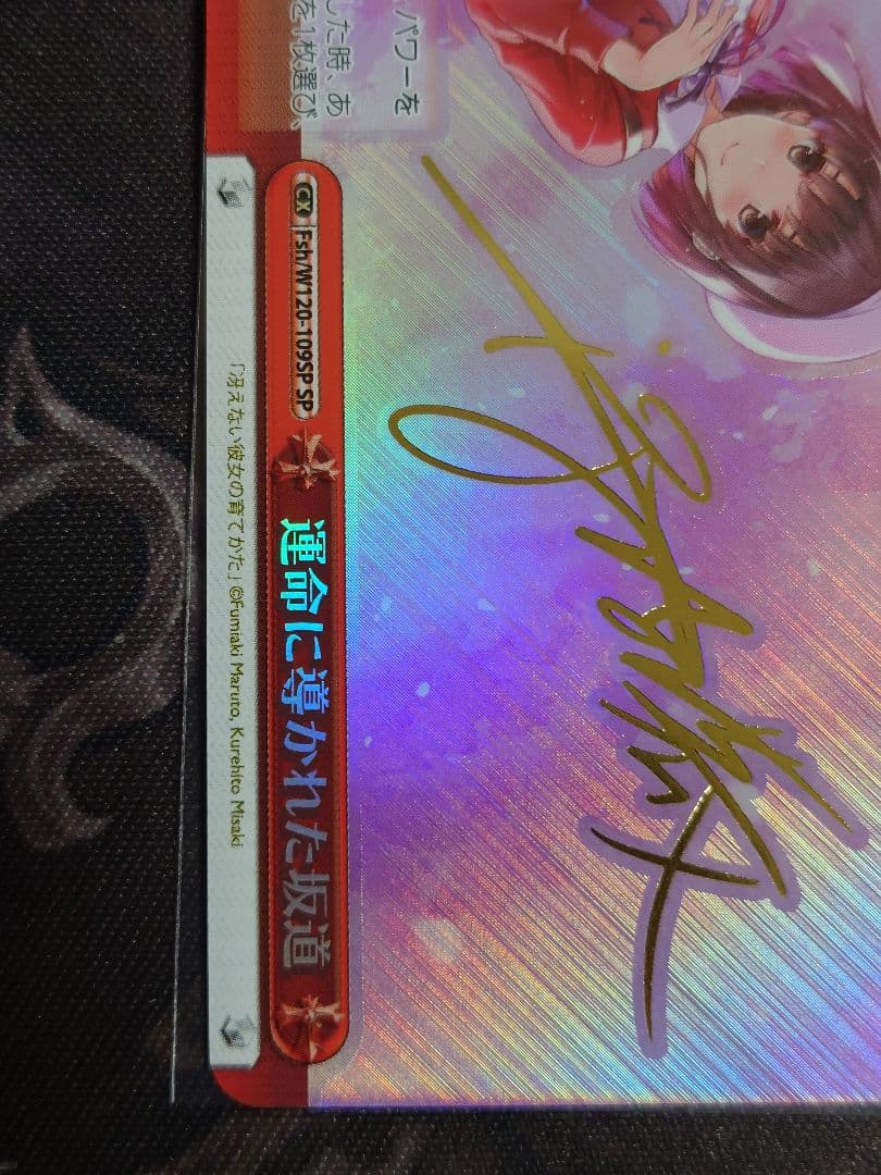 運命に導かれた坂道 sp サイン　ヴァイスシュヴァルツ