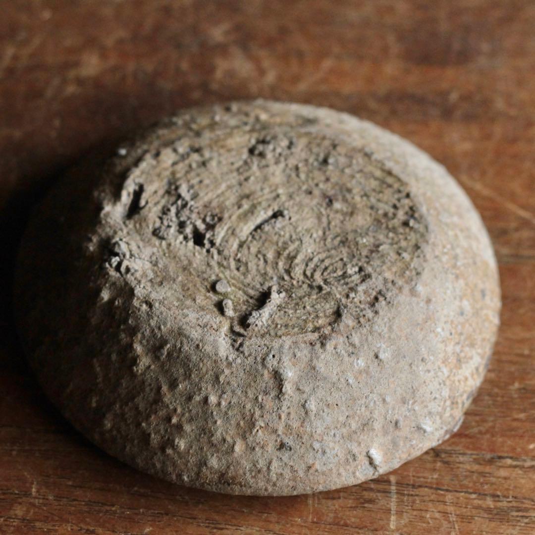 信楽 平盃 小皿 酒器 古道具 アンティーク