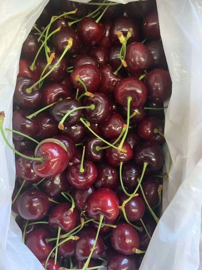 ニュージーランド産チェリー2kg大号＊2箱