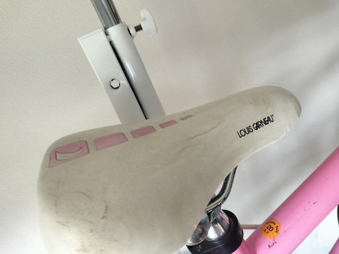 LOUIS GARNEAU　20インチ 自転車 子供 マウンテンバイク