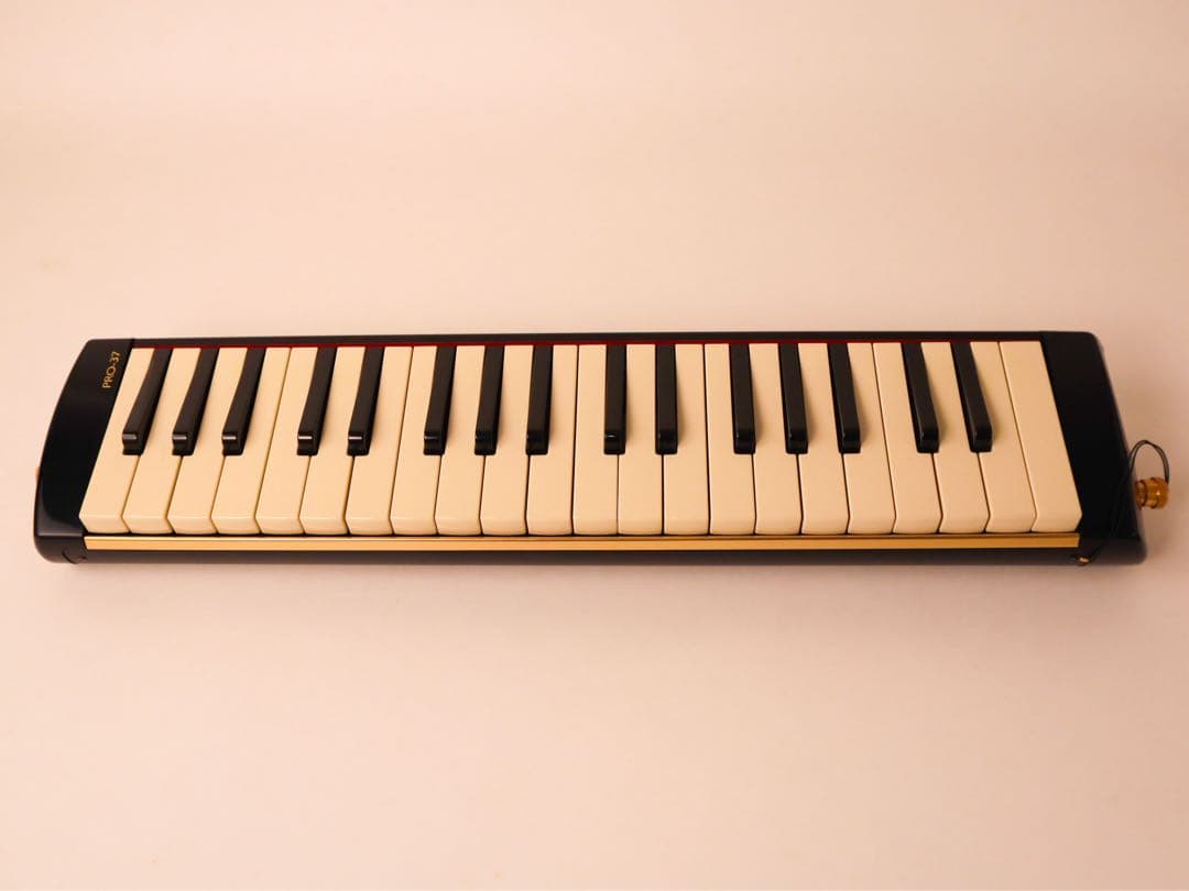 SUZUKI メロディオン PRO-37 V2