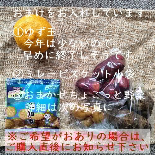 柚のや★送料込★高知県産ゆず酢900ml 4本 旬しぼり★農薬不使用★柚子酢