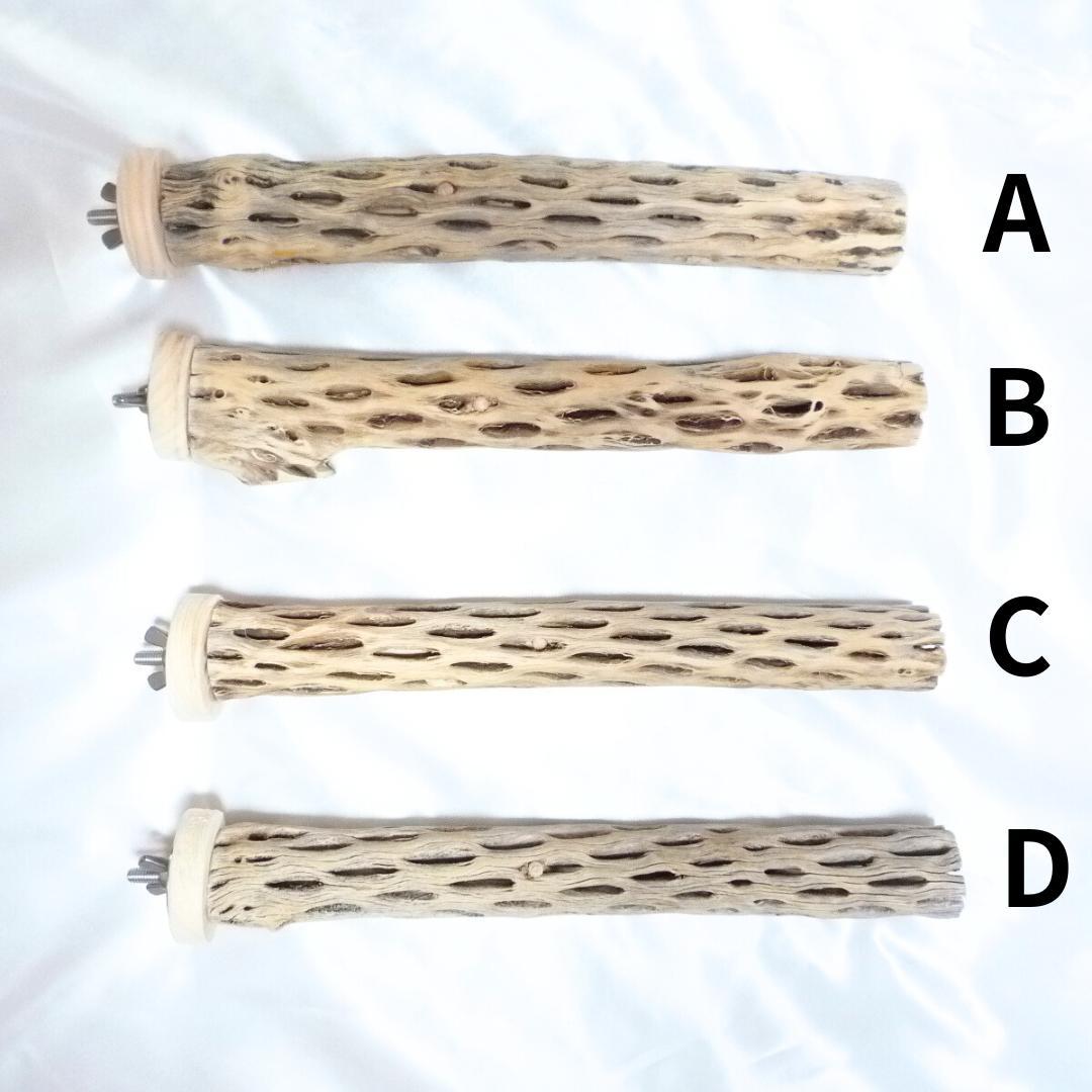 R　止まり木　カクタス　スケルトン　パーチおまとめ5本