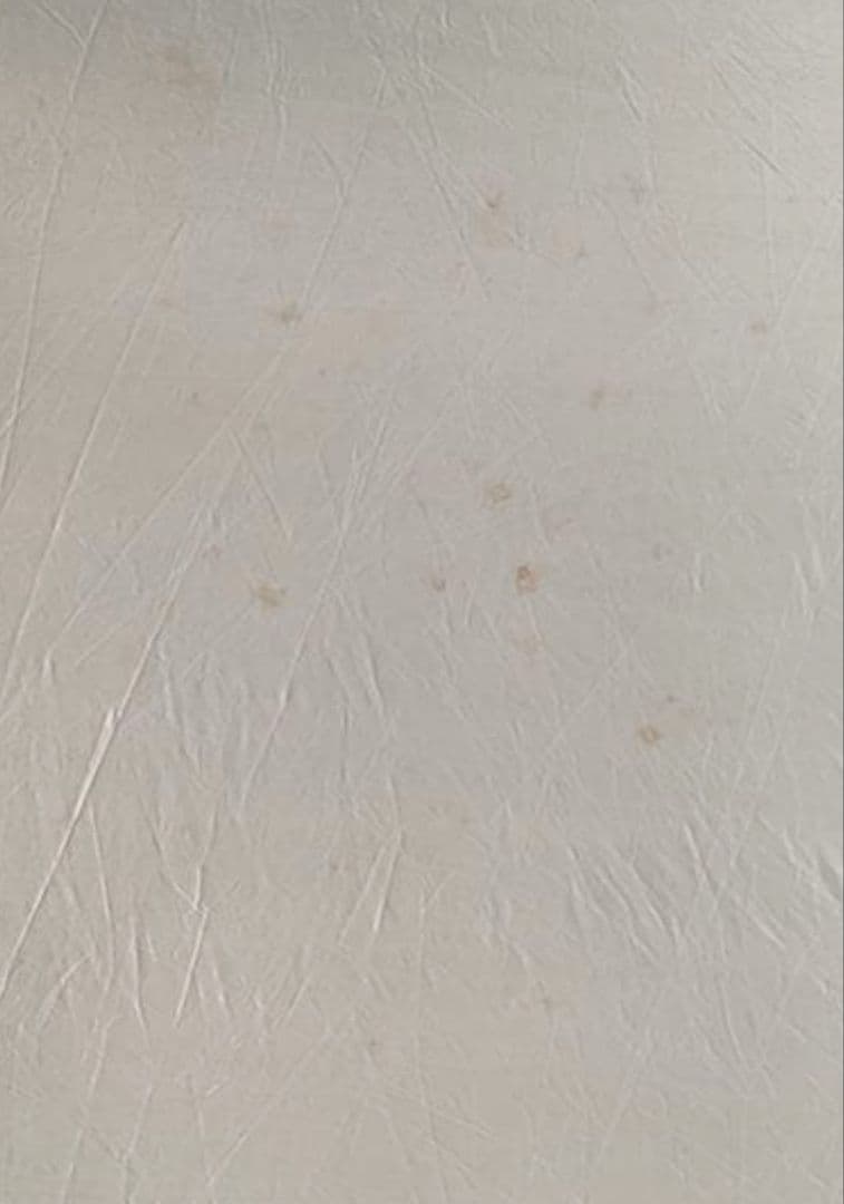 Eureka! CampTrails CabinCreekヨーレイカ テント