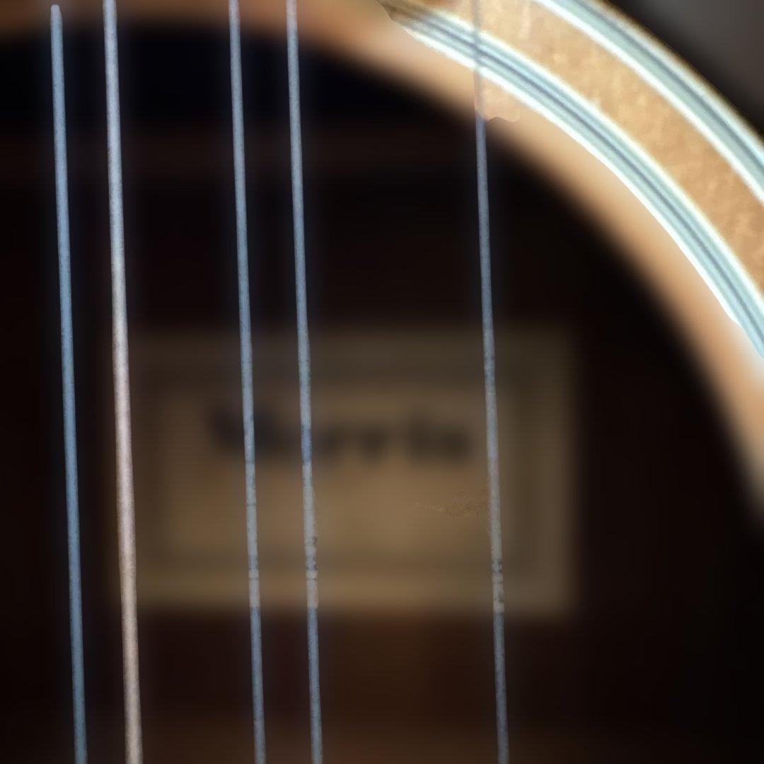 モーリス12弦ギターＢ18