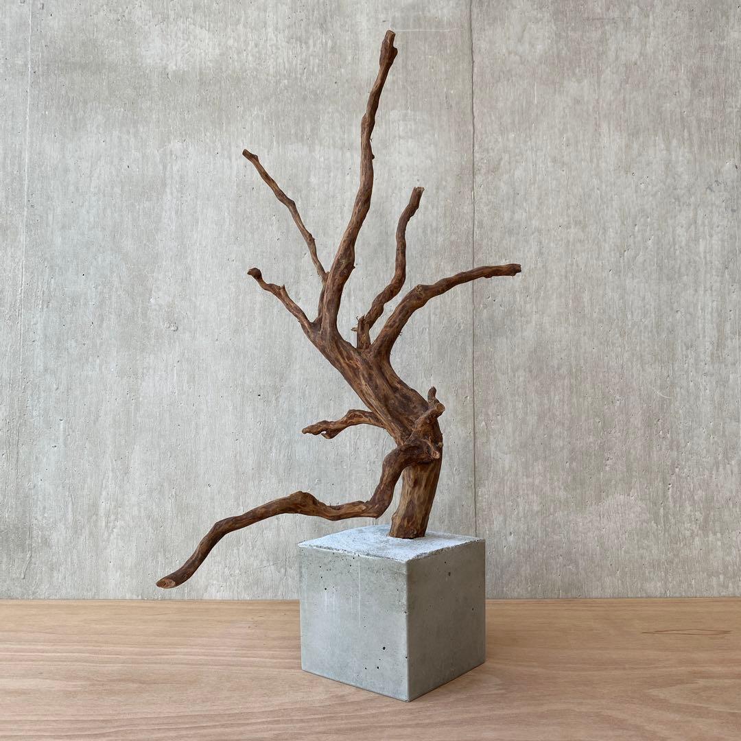 ❹【コンクリート盆栽 流木オブジェ】アクセサリー インテリア アート 爬虫類