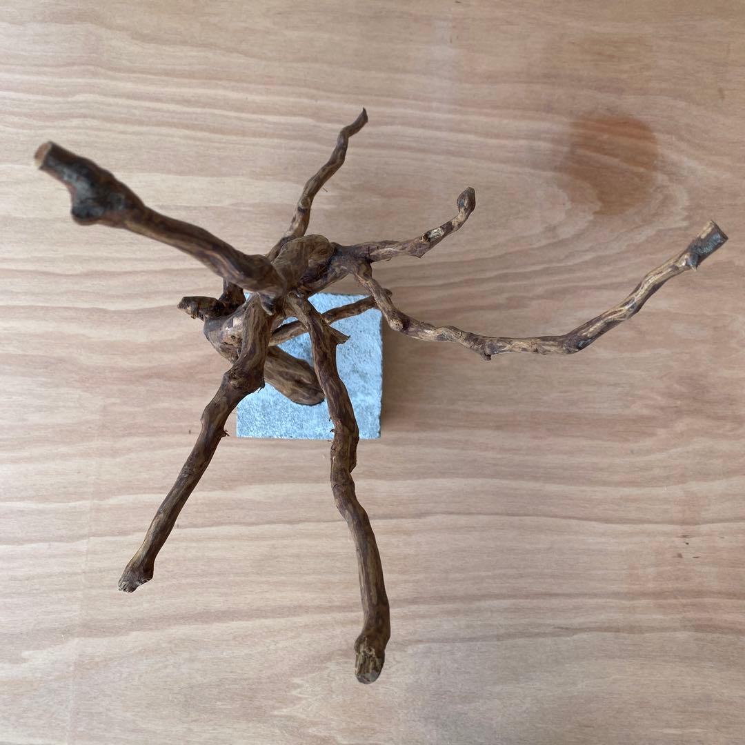 ❹【コンクリート盆栽 流木オブジェ】アクセサリー インテリア アート 爬虫類