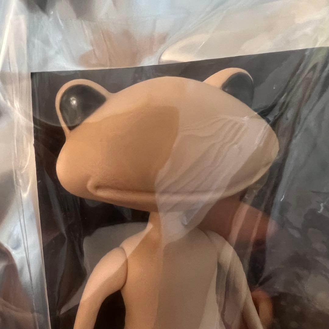 ワンダーフロッグ＊チコ・チャンドラ＊未開封品