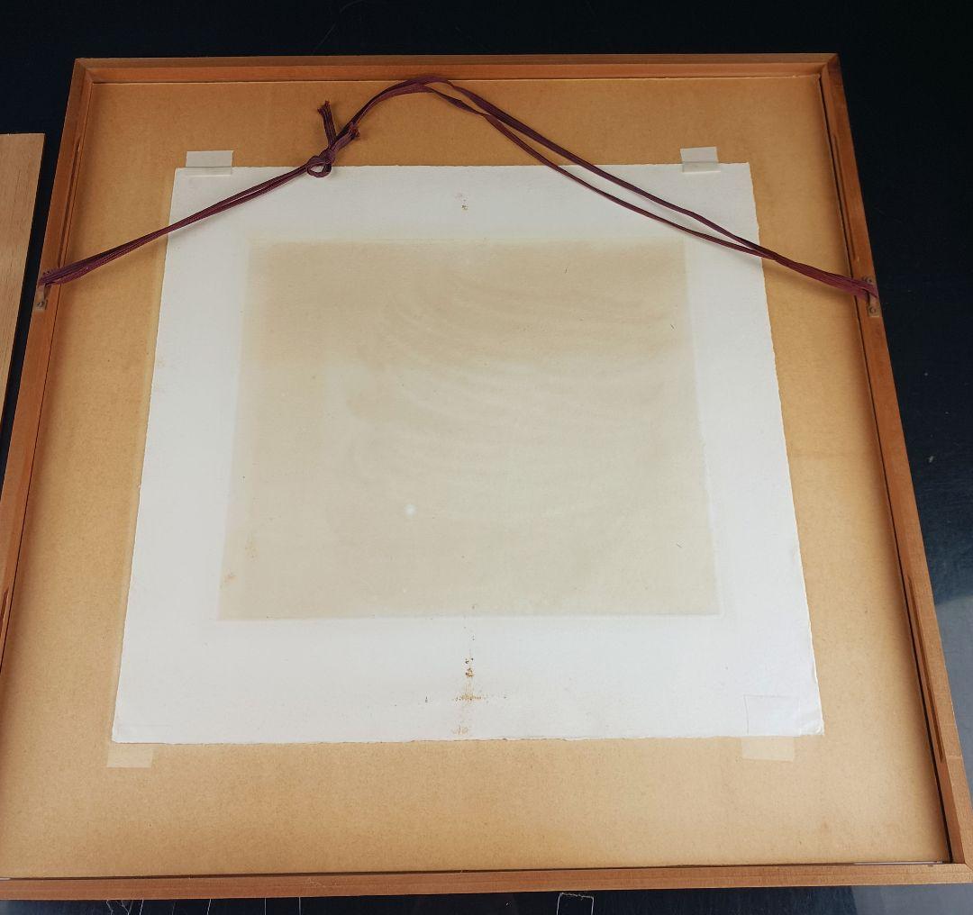 ues-20 広島の名画家 殿敷侃 版画 シダ 限定50部 図録掲載作品