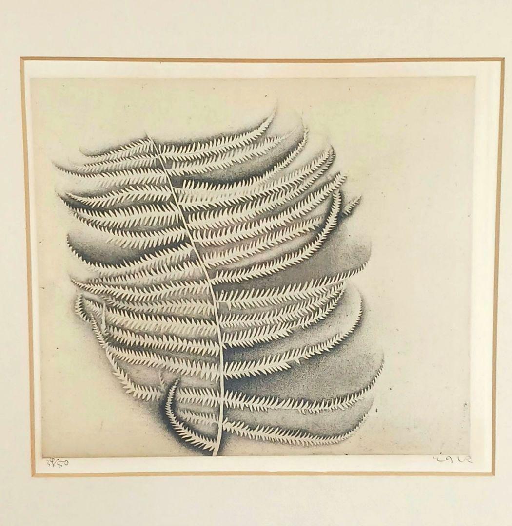 ues-20 広島の名画家 殿敷侃 版画 シダ 限定50部 図録掲載作品