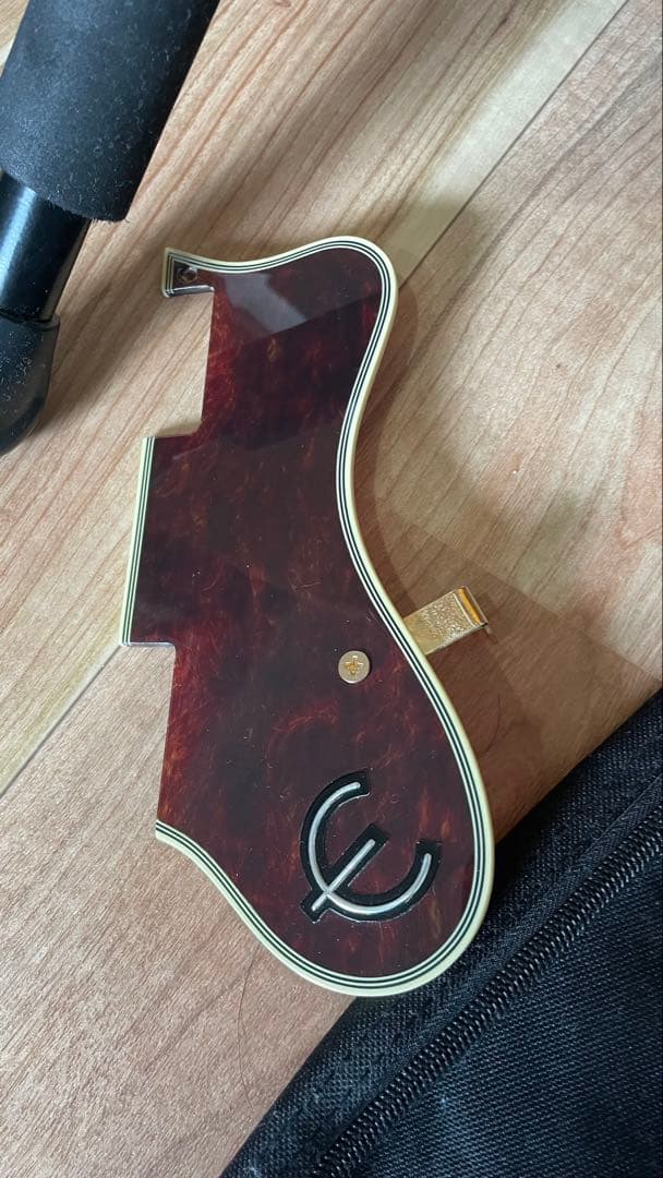 Epiphone Sheraton Ⅱ PRO 付属ソフトケース付き