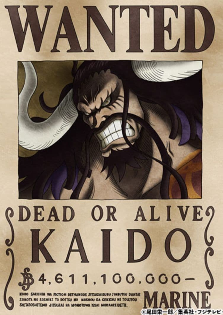 ワンピース　海軍公式手配書　旧四皇　ロジャー