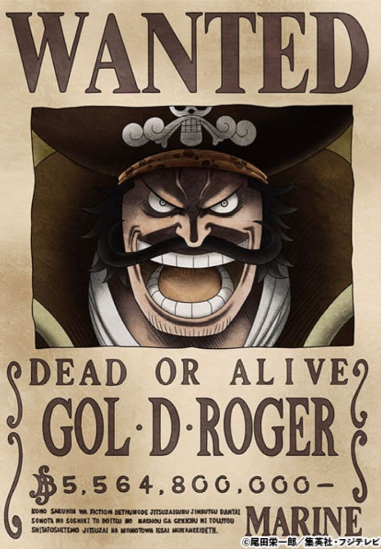 ワンピース　海軍公式手配書　旧四皇　ロジャー