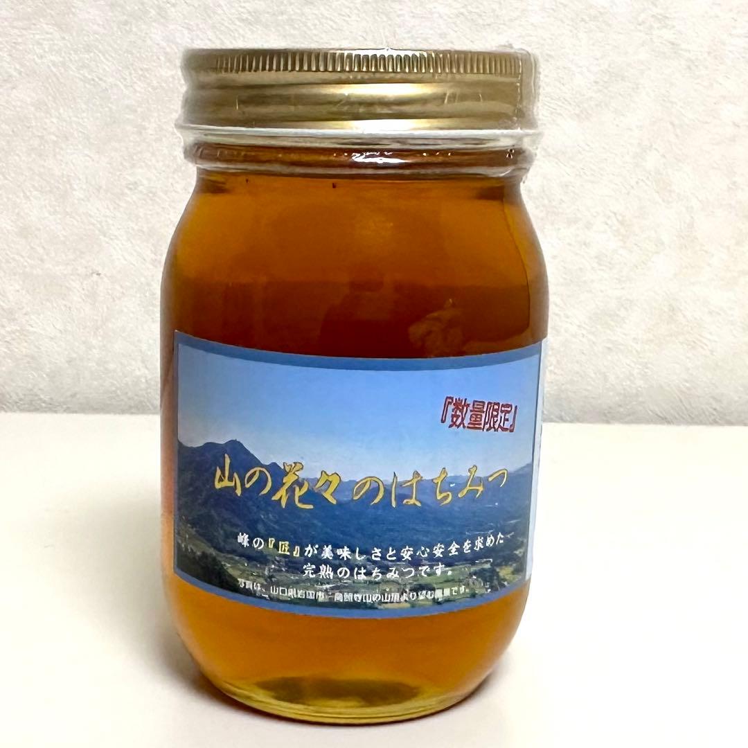 【国産非加熱】山の花々のはちみつ　600g×24本　つかもと養蜂場