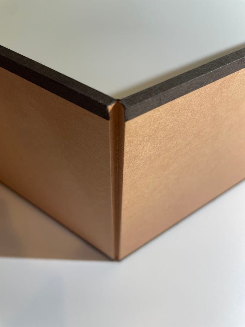 「無題」鴻池朋子2010年【複製】