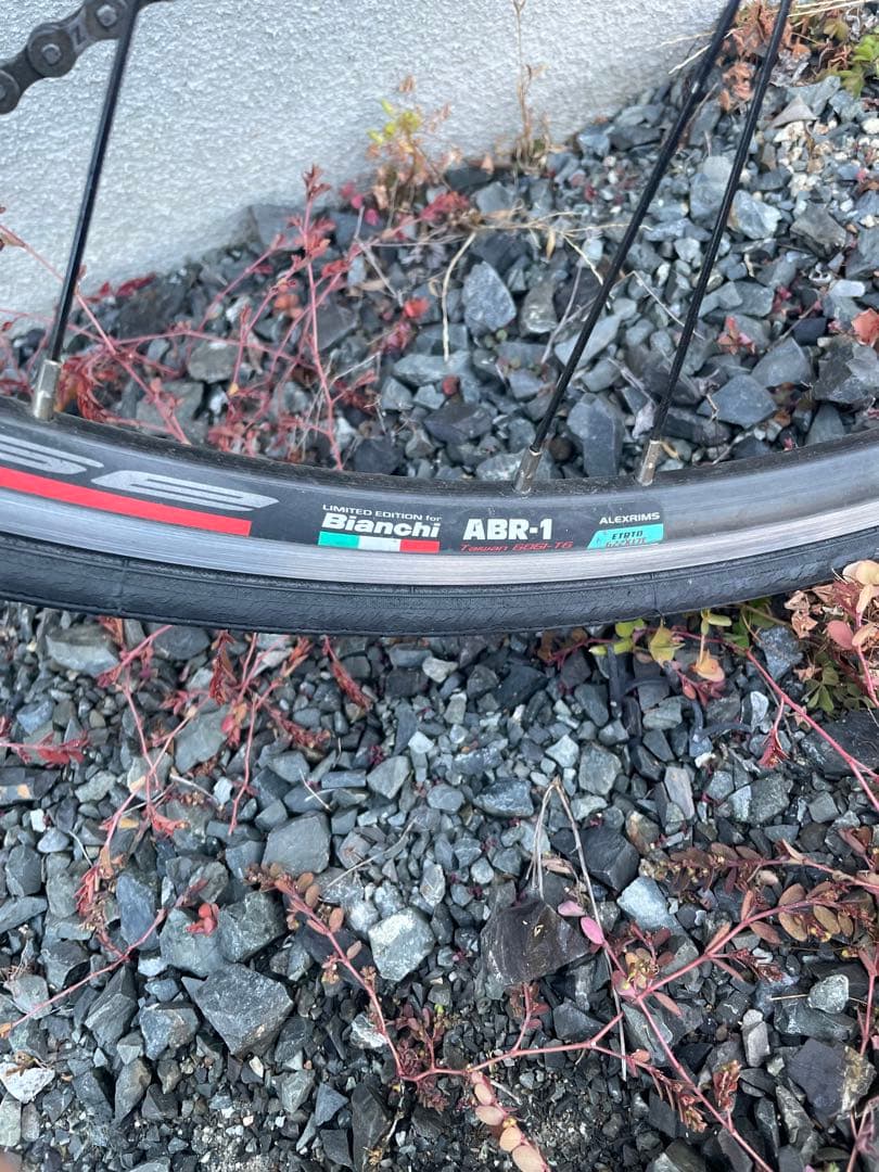 bianchi (ビアンキ) ベルガモ　パンク有り