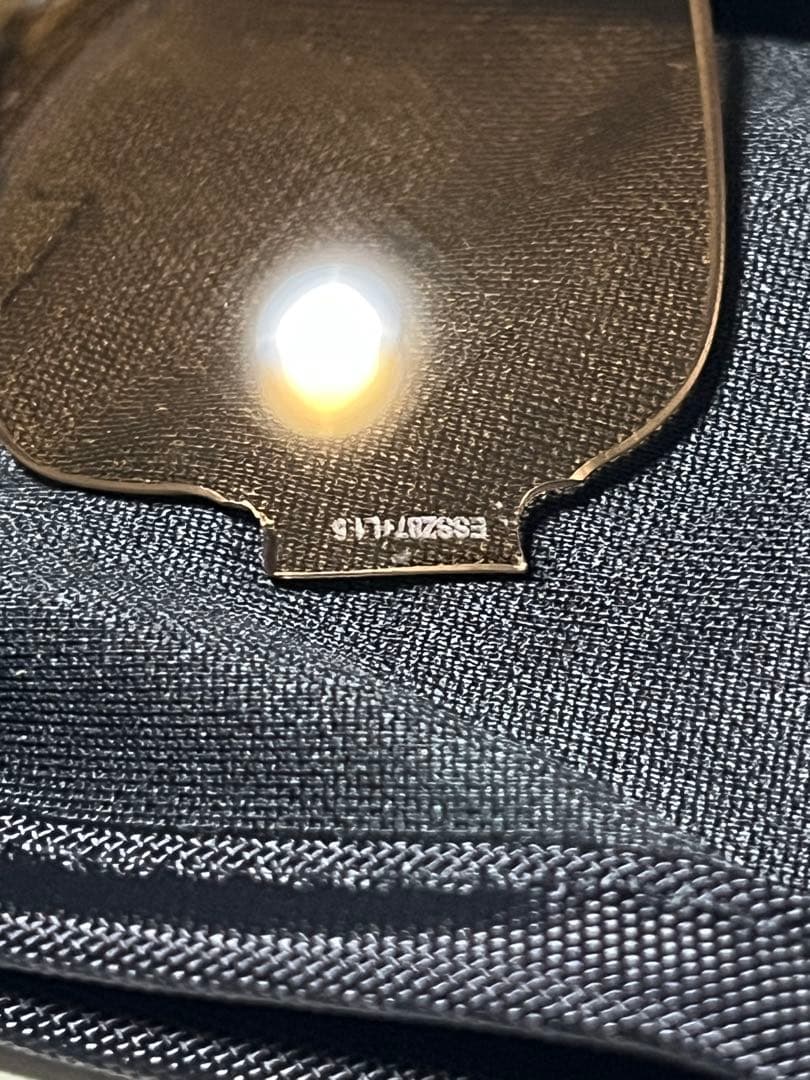 ESS Rollbar サングラス