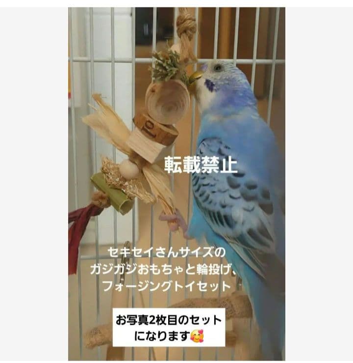 T14　自然素材　インコ　 ガジガジおもちゃ　バードトイセット　フォージングトイ