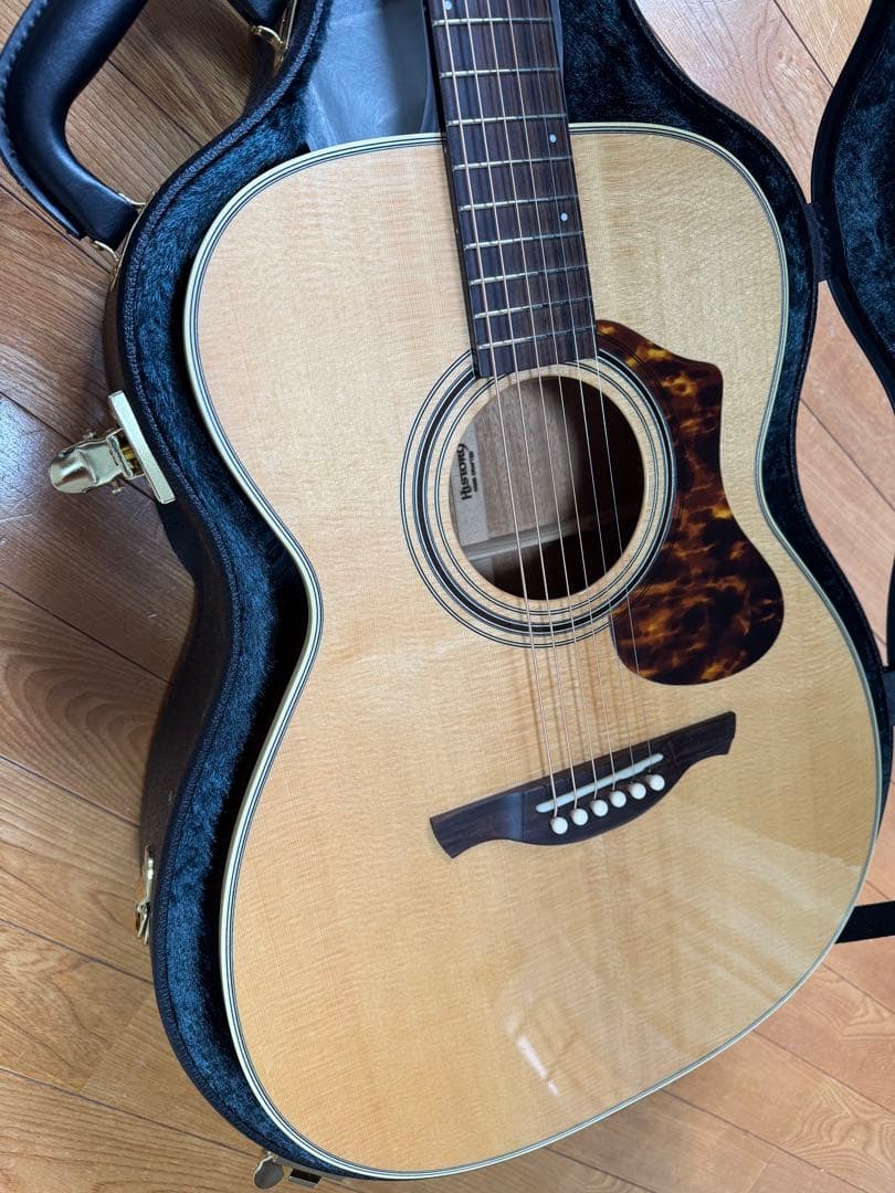 HISTORY ヒストリー　エレアコ　ギター　 NT-S4 2022年モデル