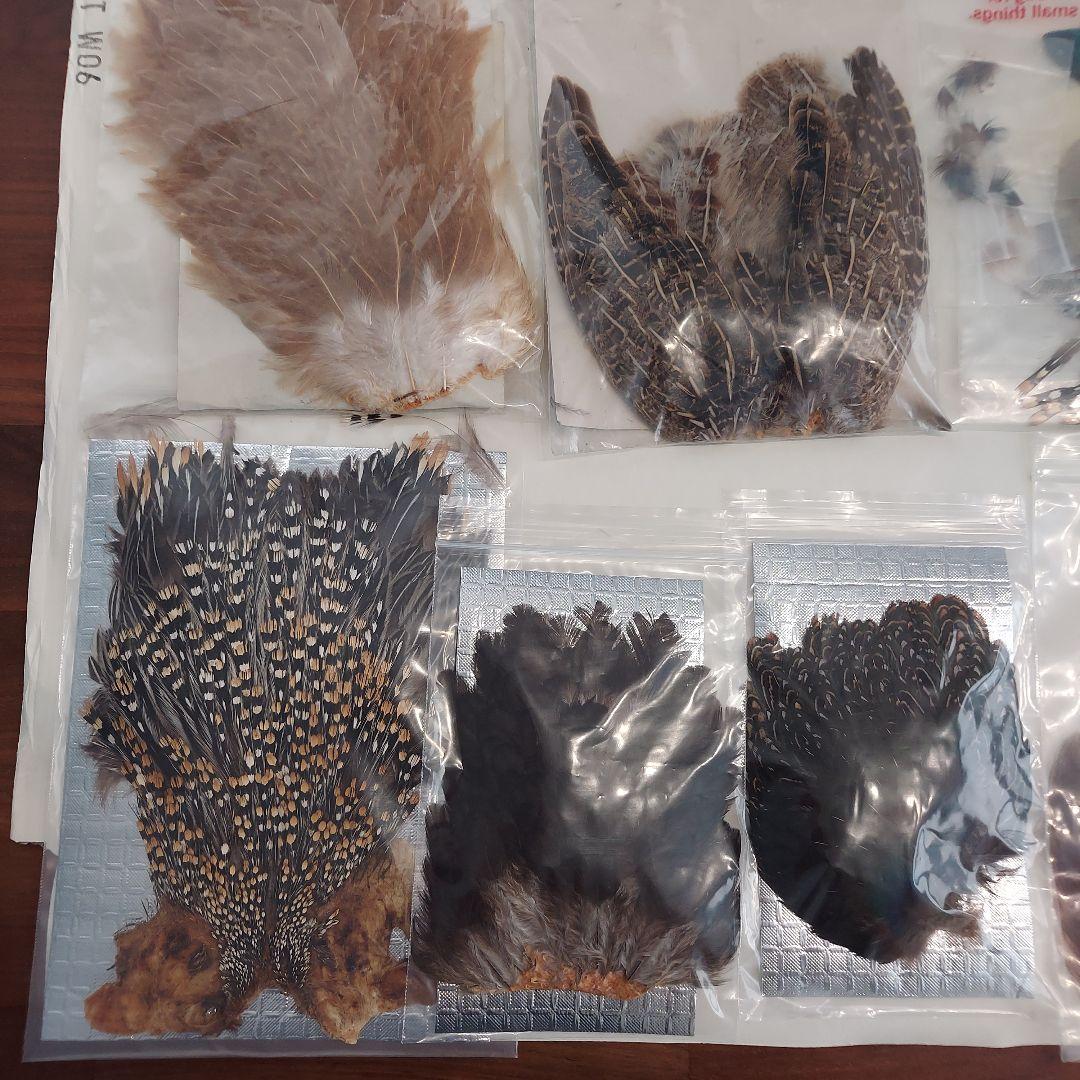 ジャングルコックネック　マテリアルセット